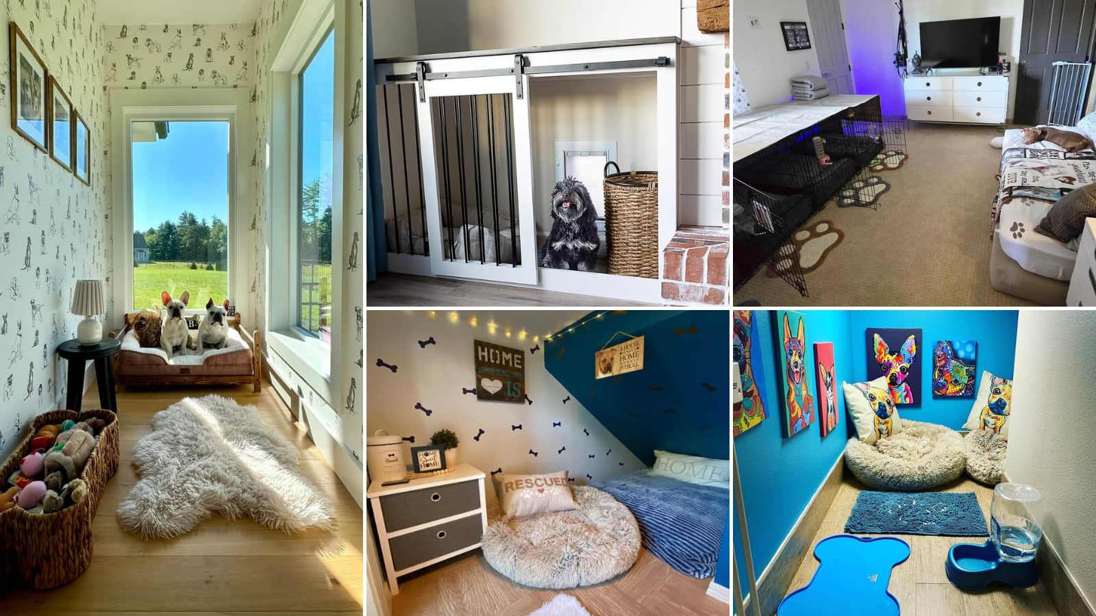 Dog Room Ideas
