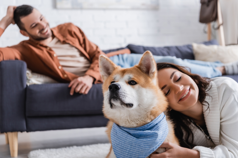 Smiling,Young,Woman,Hugging,Akita,Inu,Dog,Near,Blurred,Boyfriend